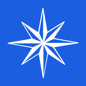 Blue Star Cleaning Services - Icon